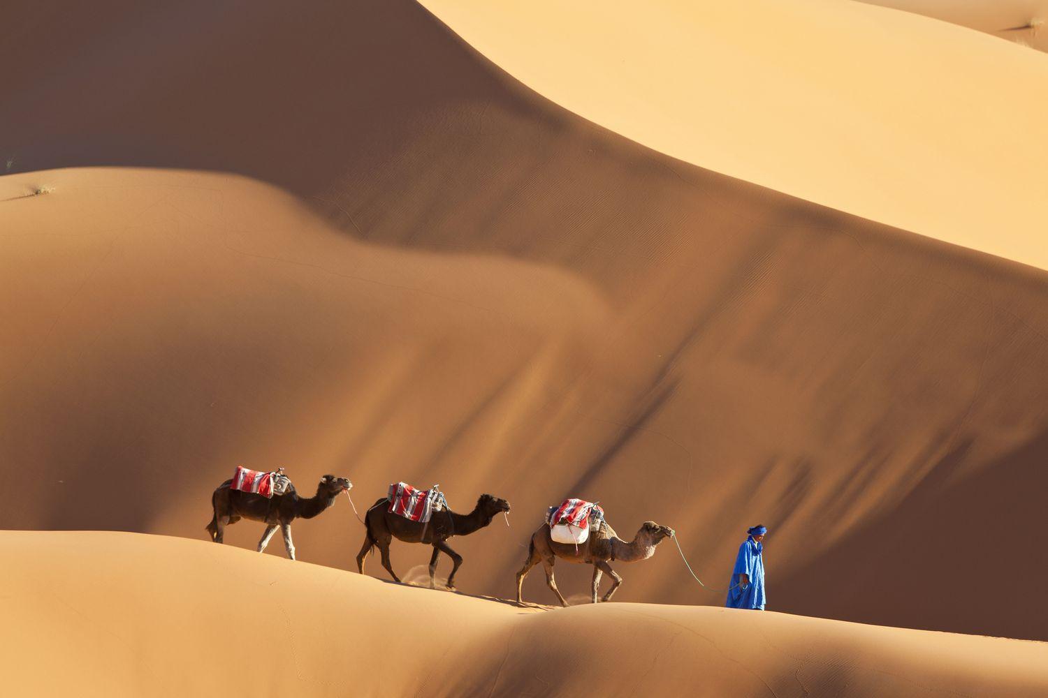 Merzouga Luxury Traditional Camp Bagian luar foto